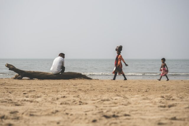 man sitting on drift wood