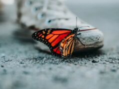 Zindagi Asli Me Kya Hoti Hai – ज़िन्दगी असली में क्या होती है Zindagi