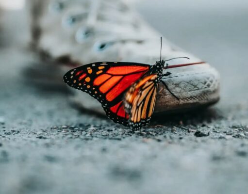 Zindagi Asli Me Kya Hoti Hai – ज़िन्दगी असली में क्या होती है Zindagi